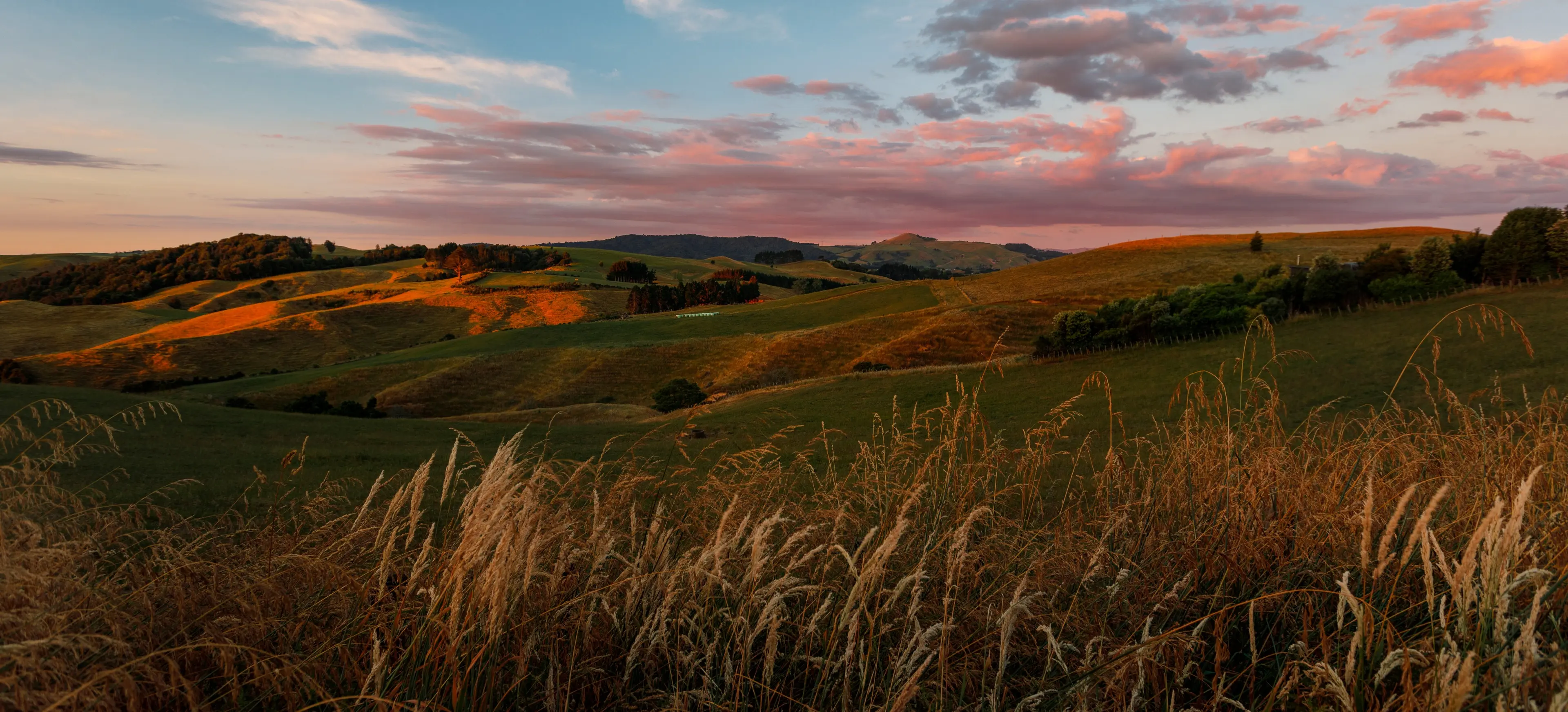 New Zealand