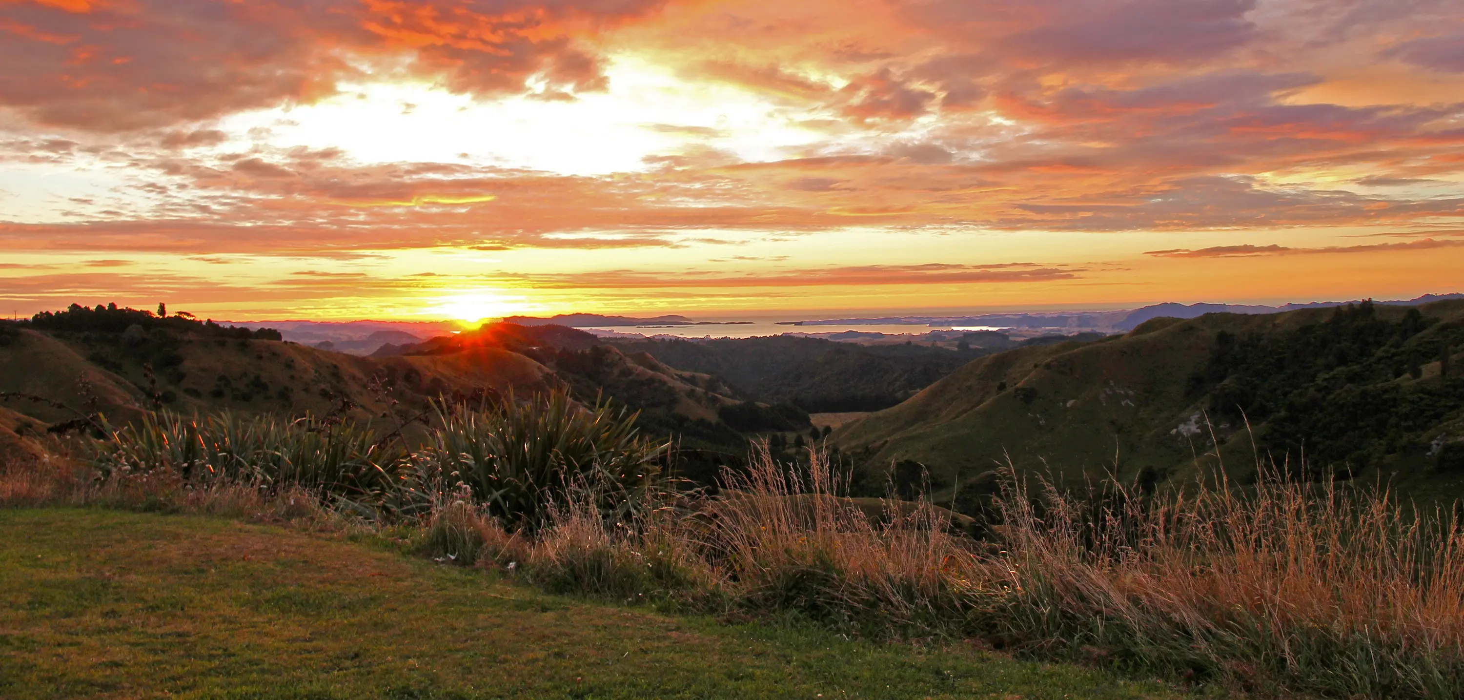 New Zealand