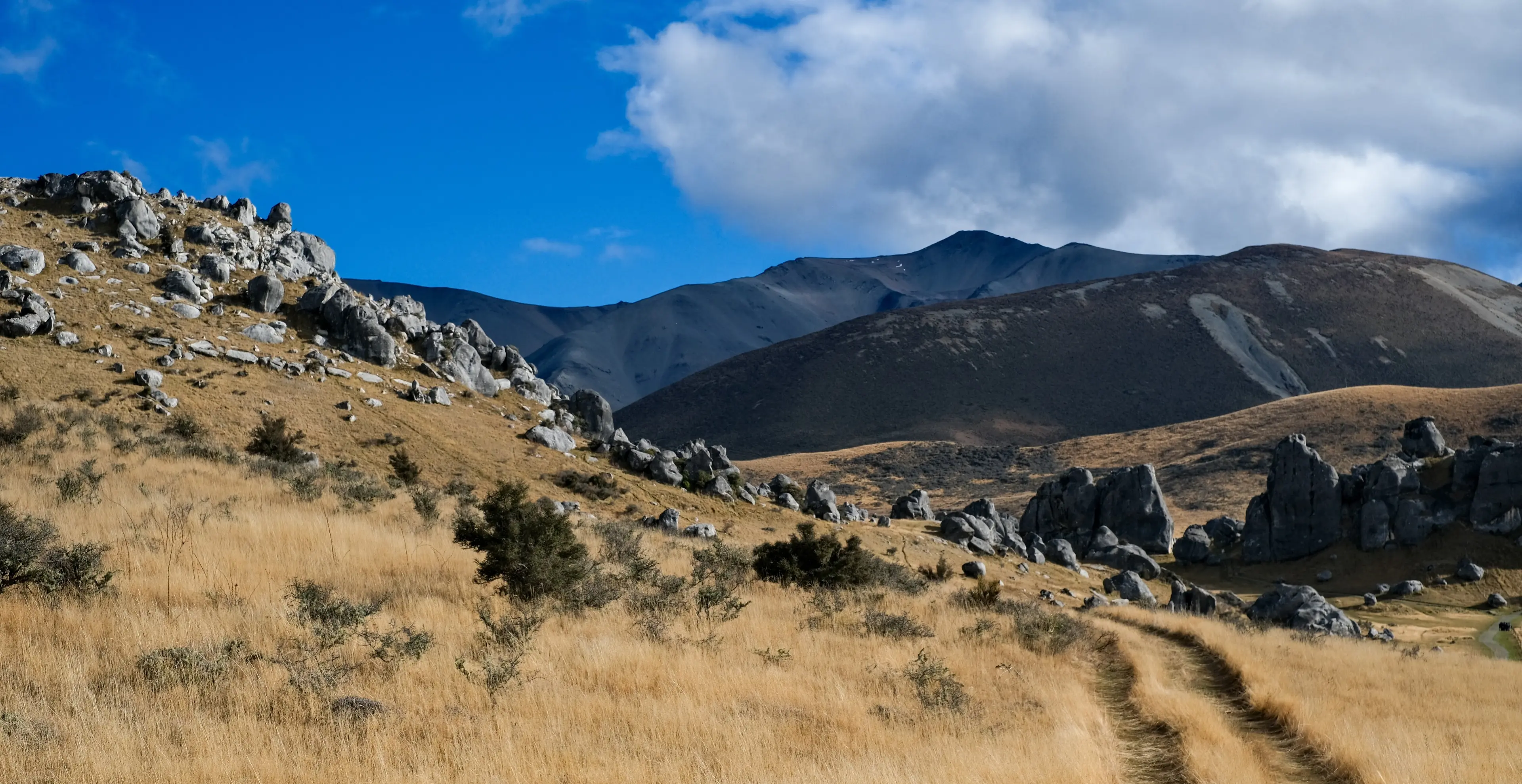 New Zealand