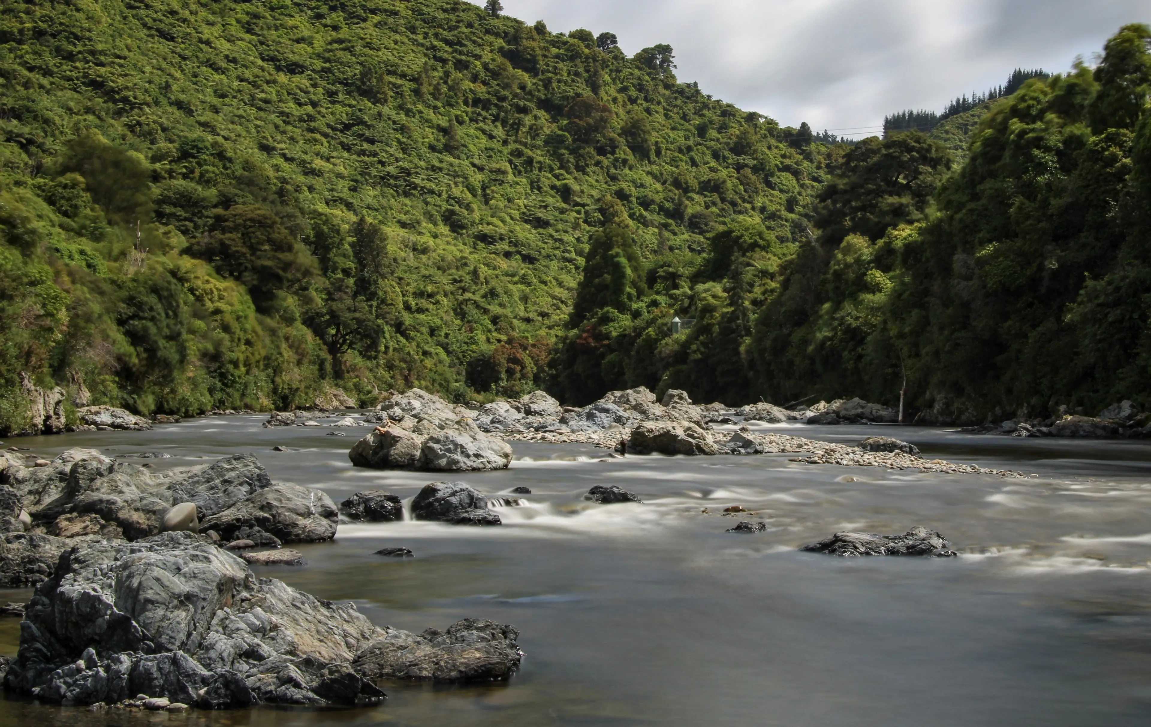 New Zealand