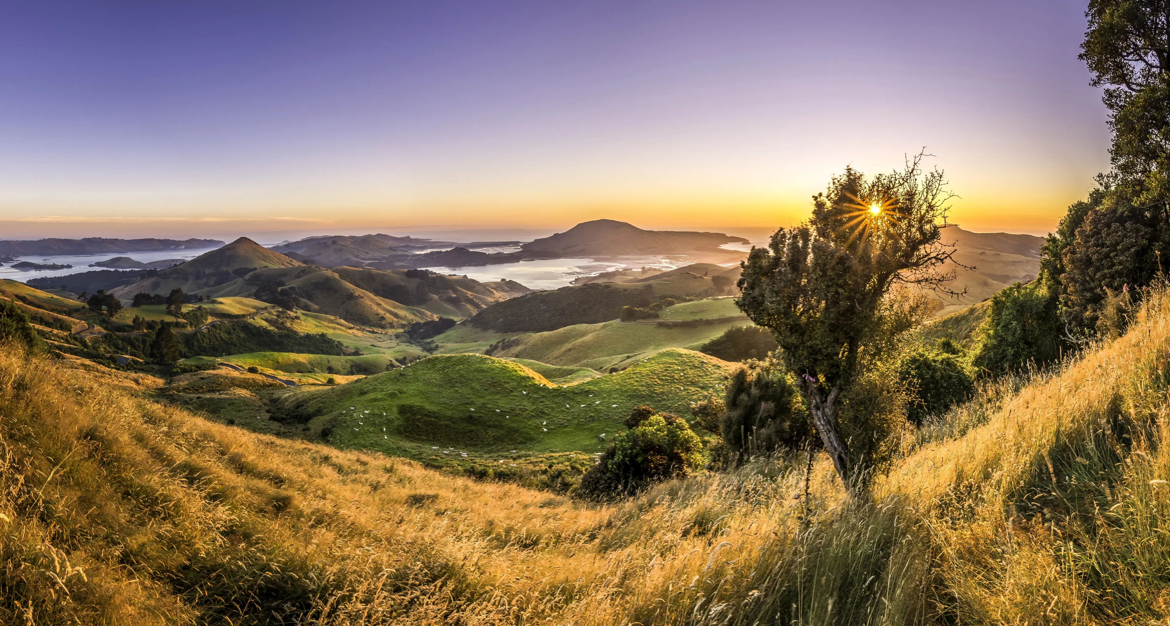New Zealand
