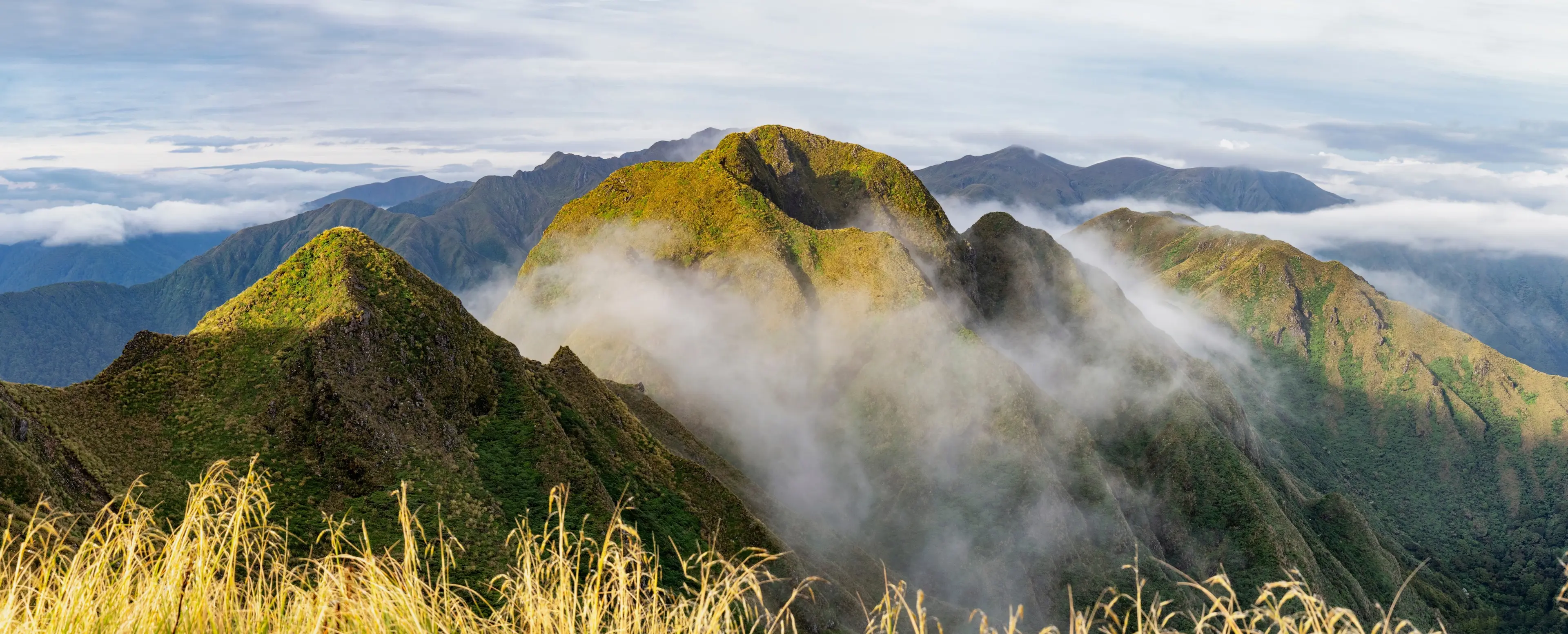 New Zealand