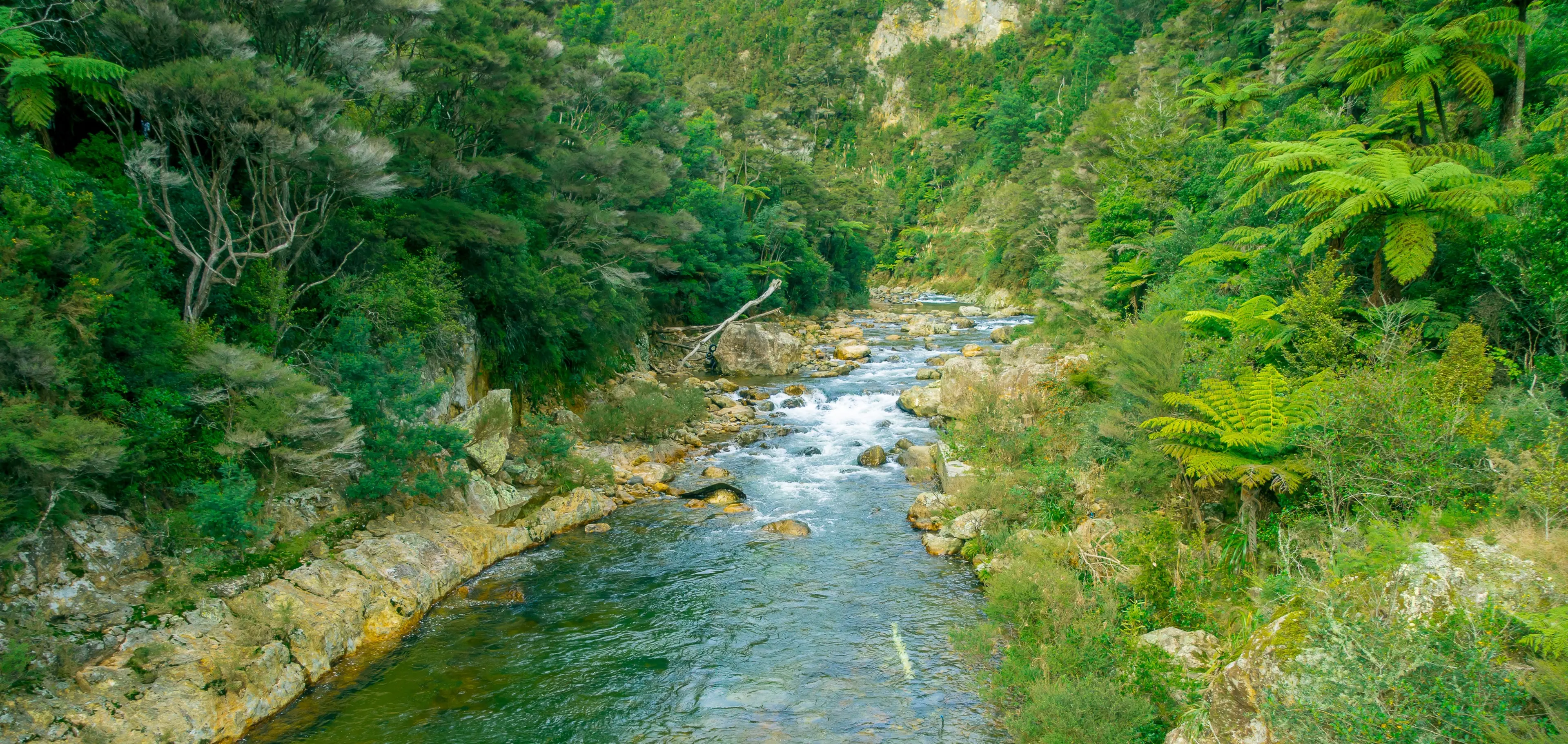 New Zealand